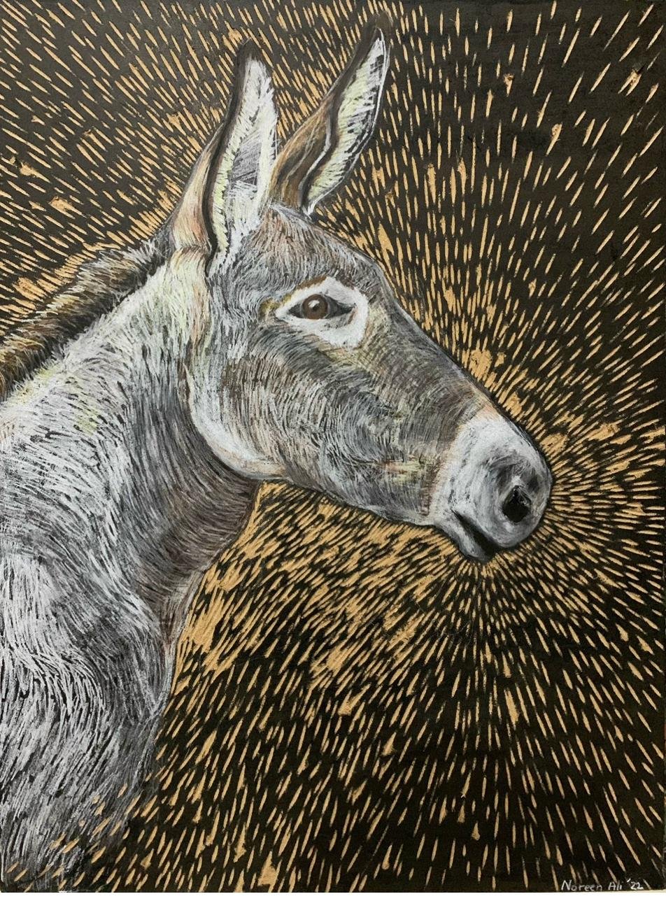 Noreen Ali — Portrait of Patience — Charcoal and Chalk Portrait of a Donkey